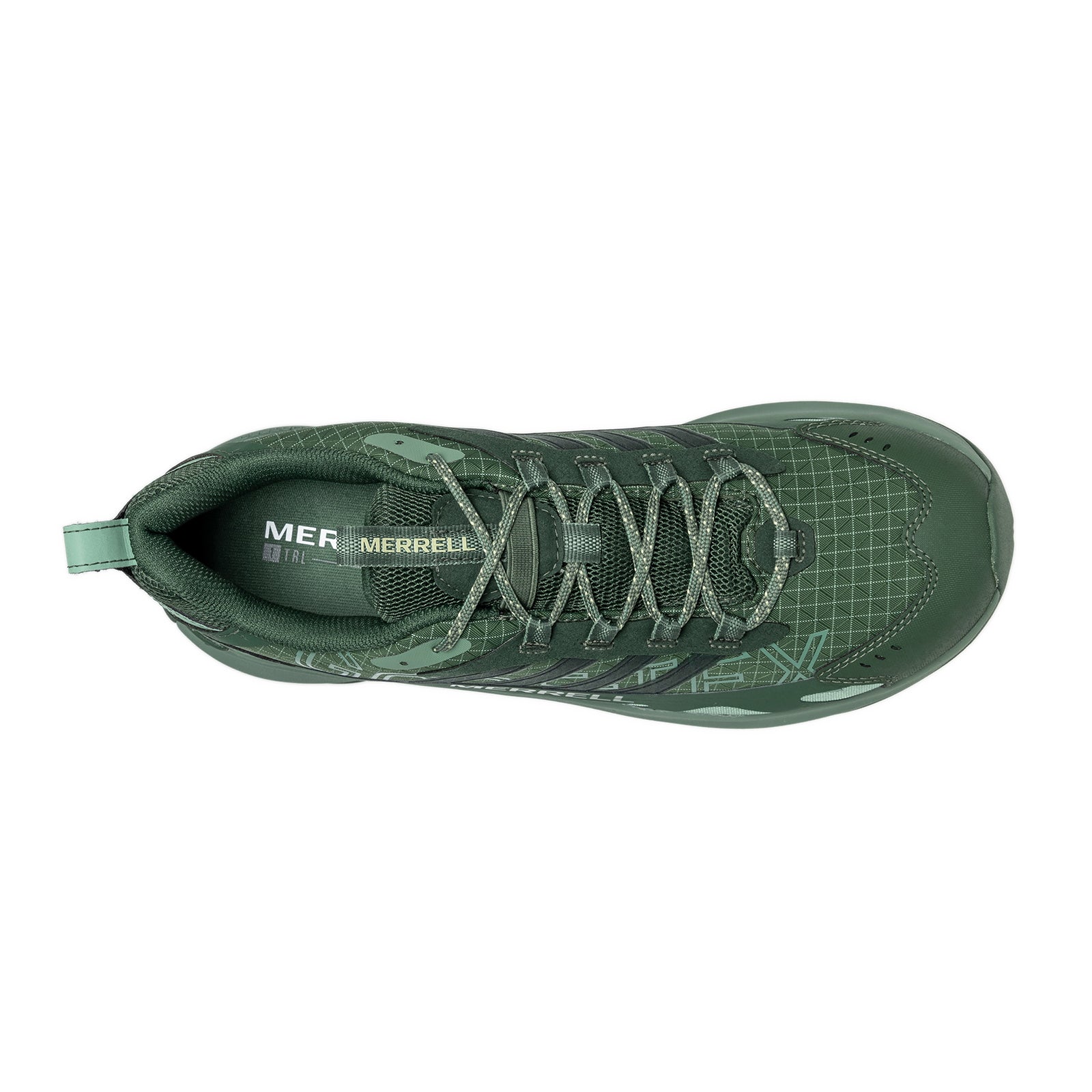 #カラー_VIRIDIAN ビリジアン