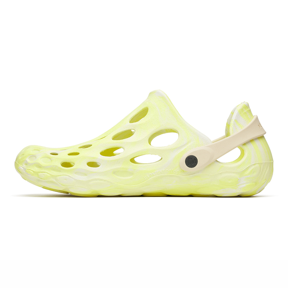 #カラー_ VIVID ビビット