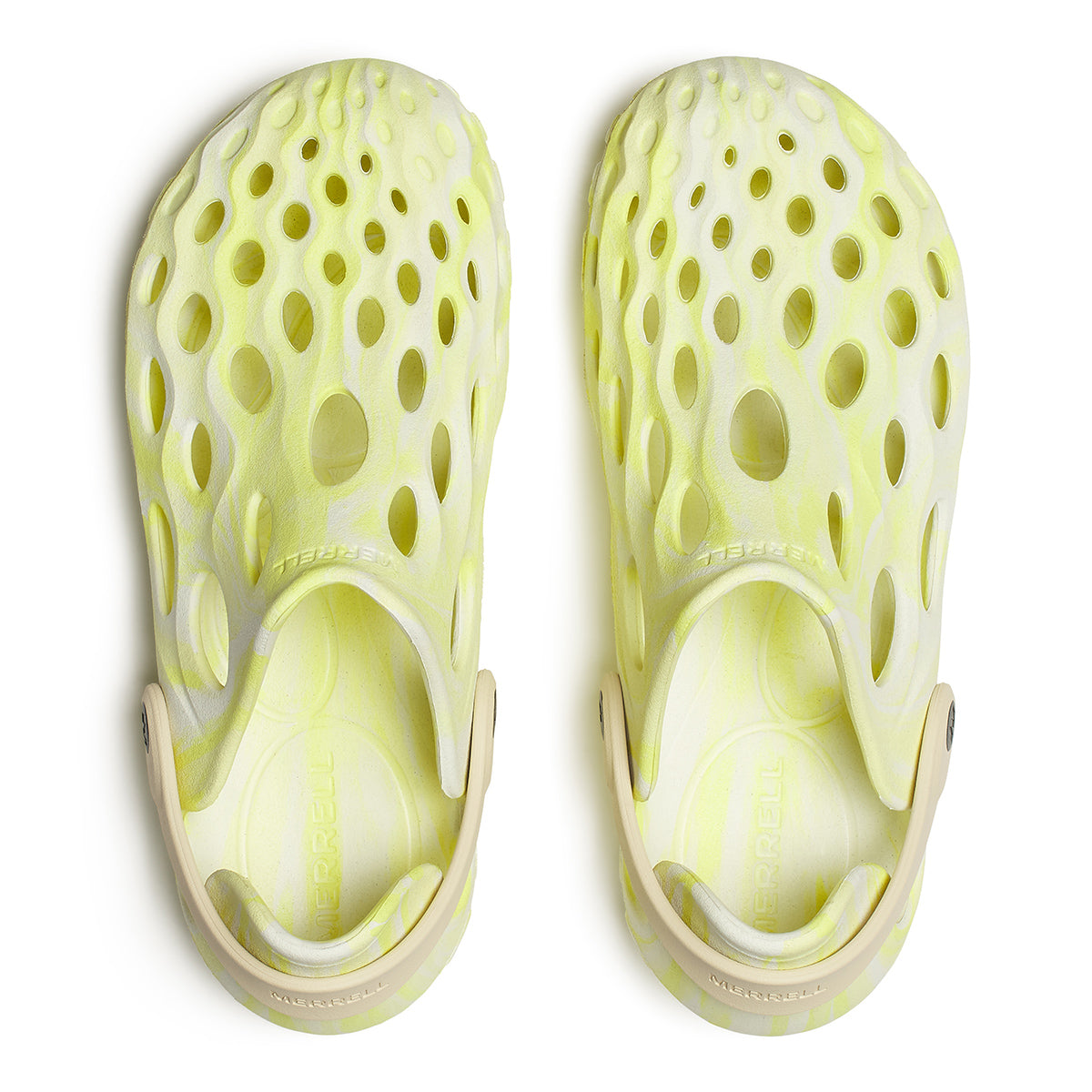 #カラー_ VIVID ビビット