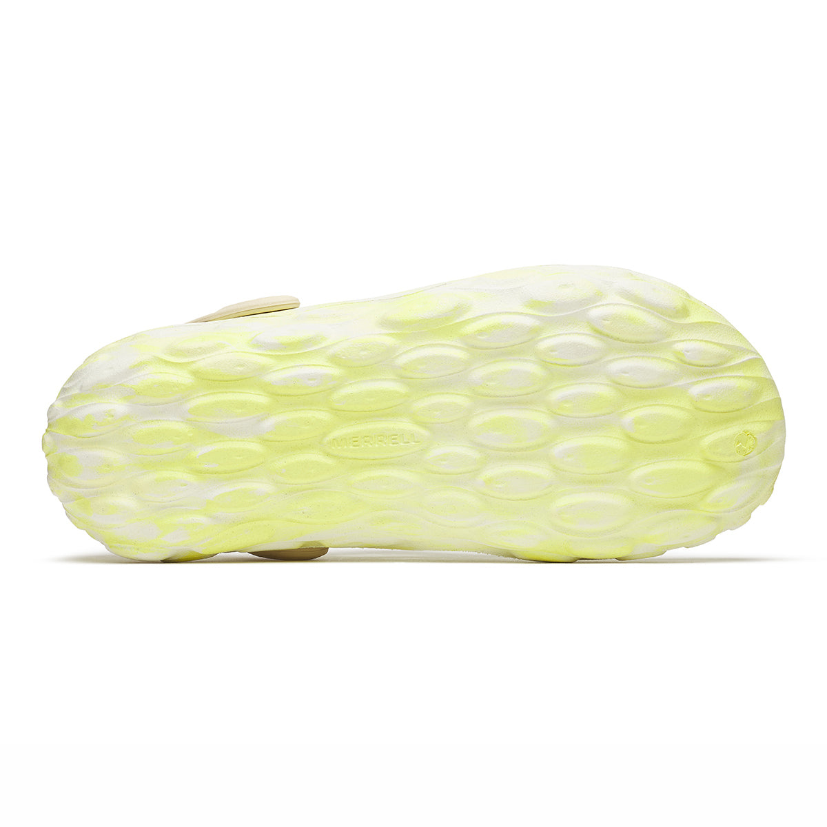 #カラー_ VIVID ビビット