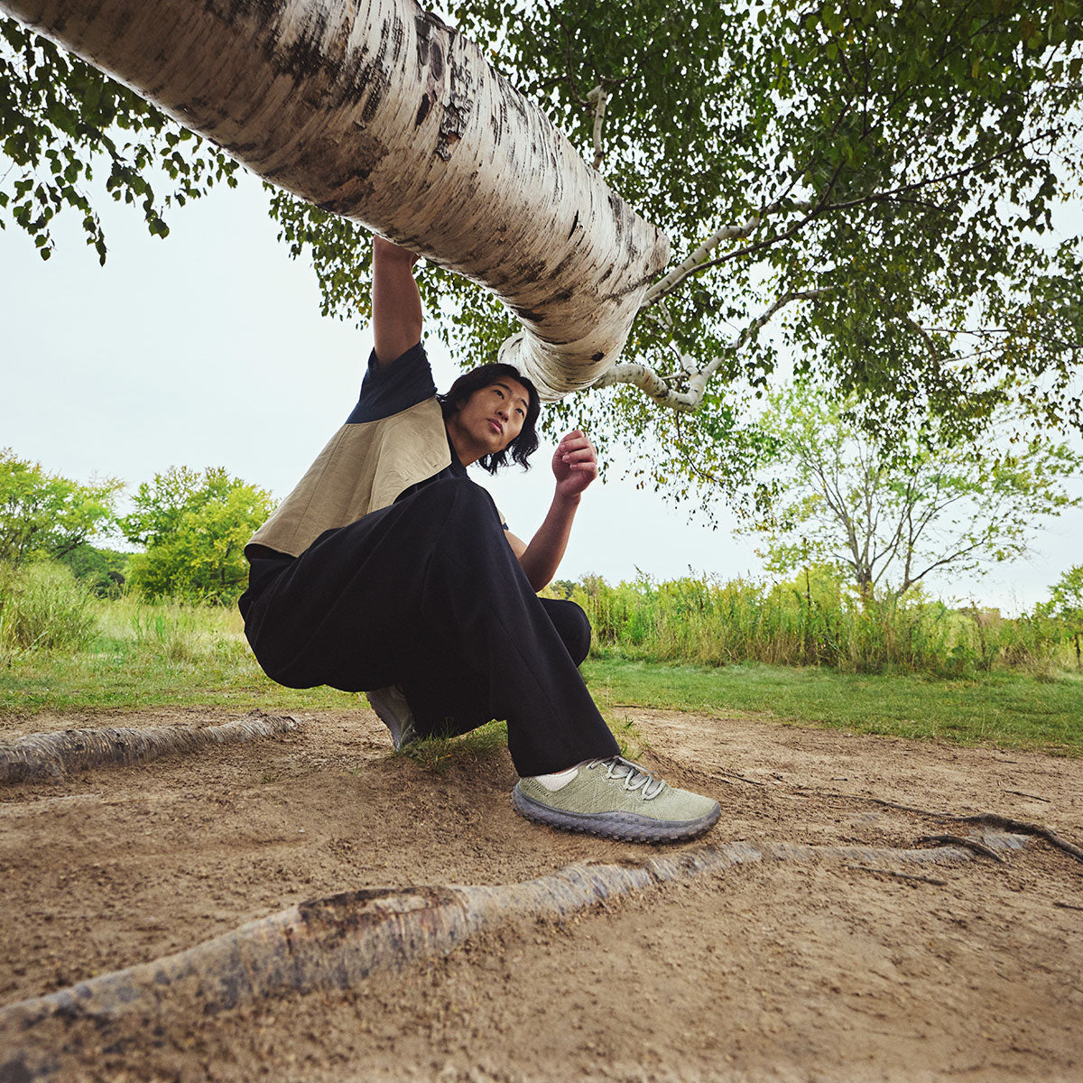 #カラー_WHITE SAGE ホワイト セージ