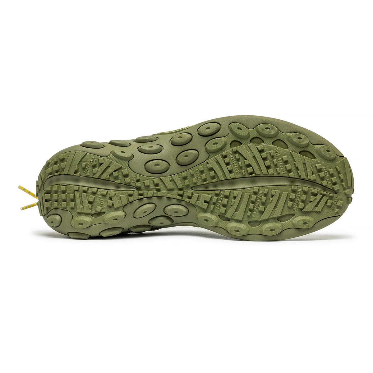 #カラー_WILLOW ウィロウ