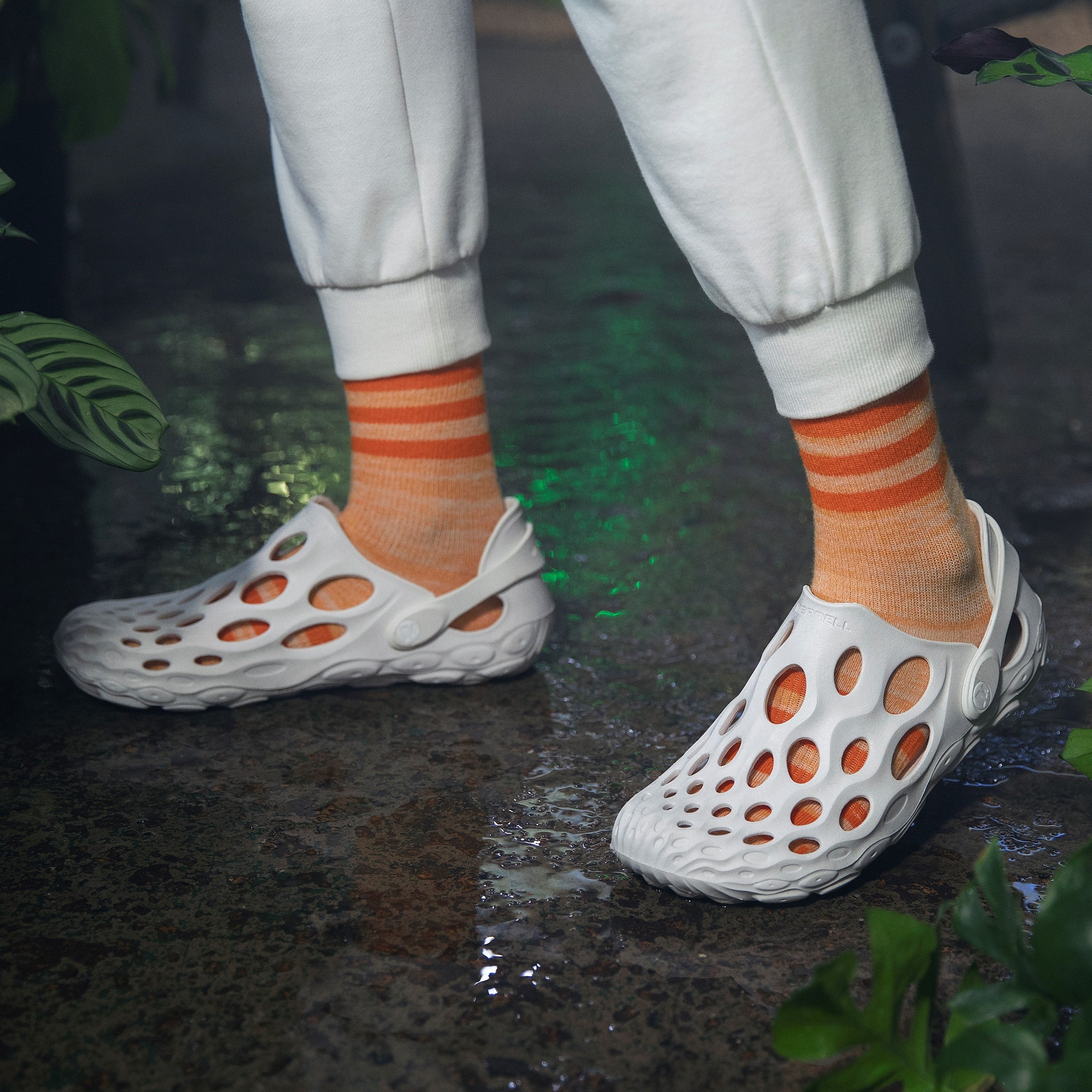 #カラー_WHITE ホワイト