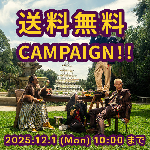 free shipping campaign202511