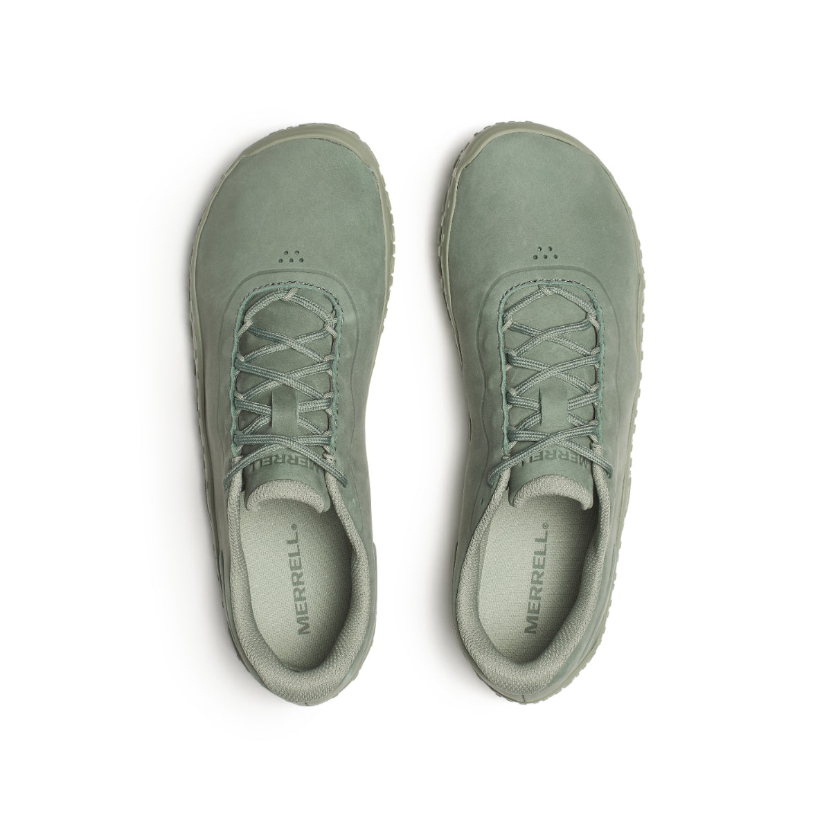 #カラー_PALE IVY ペール アイビー