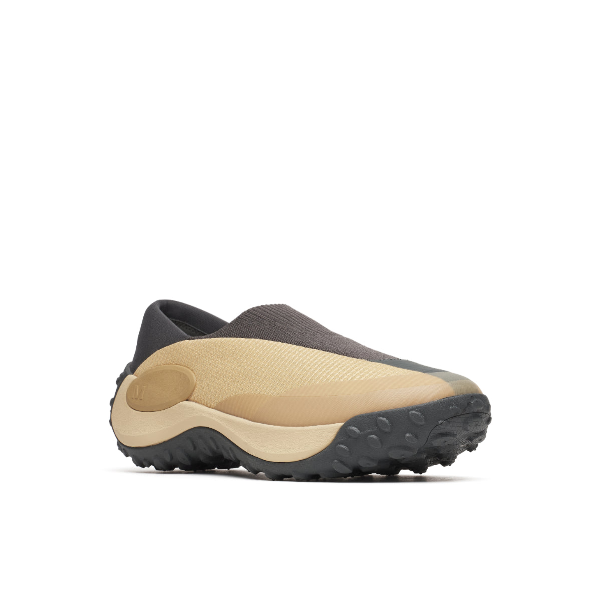 #カラー_LATTE ラテ