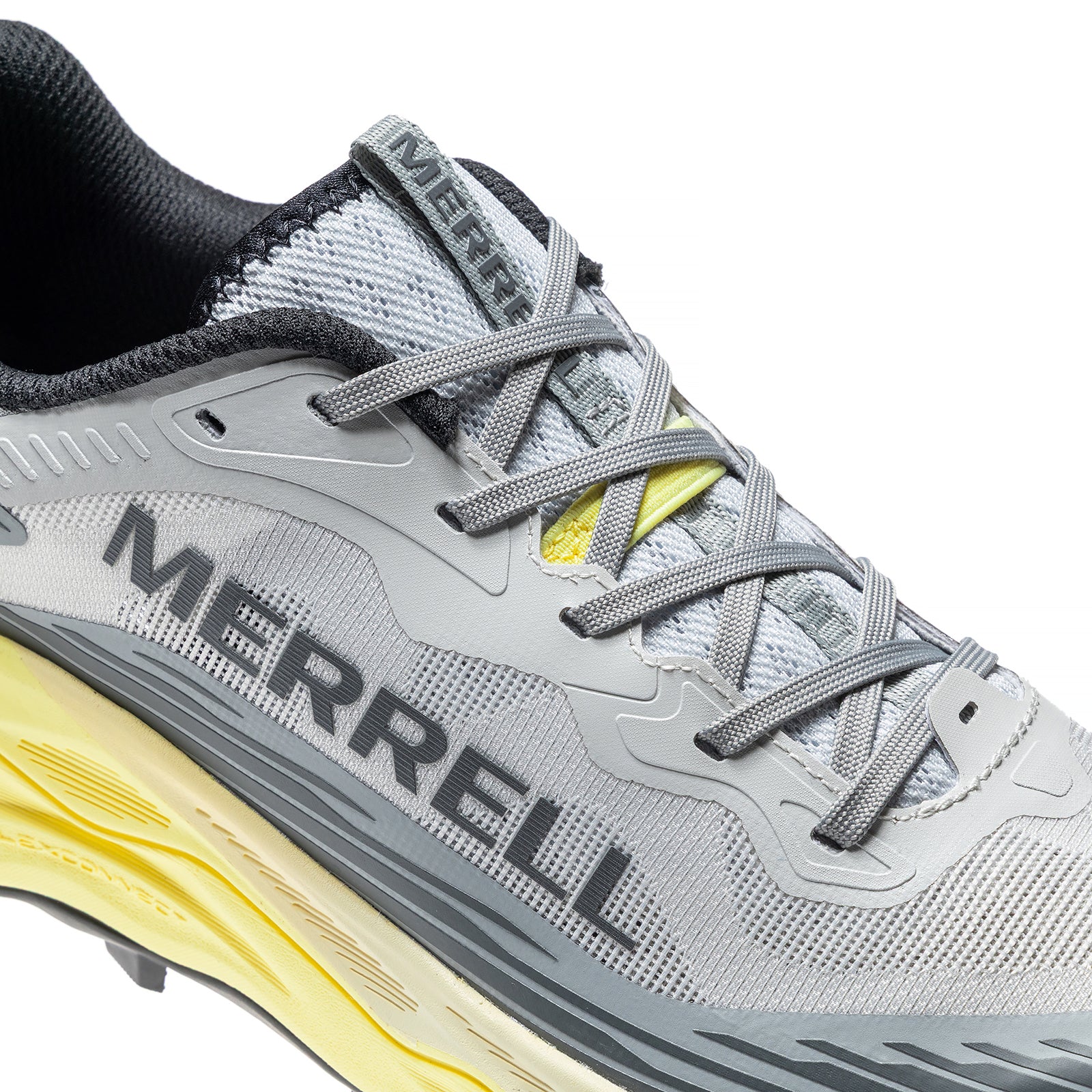 #カラー_PIGEON ピジョン