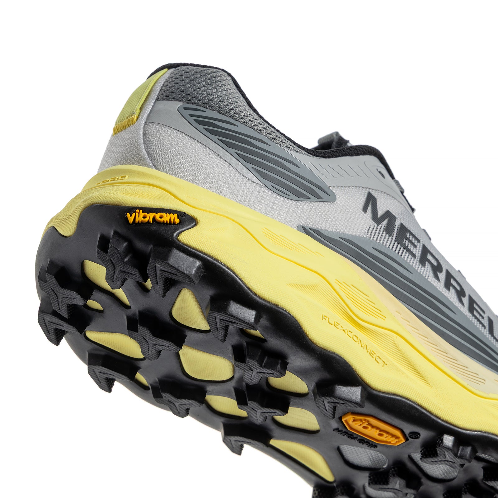 #カラー_PIGEON ピジョン