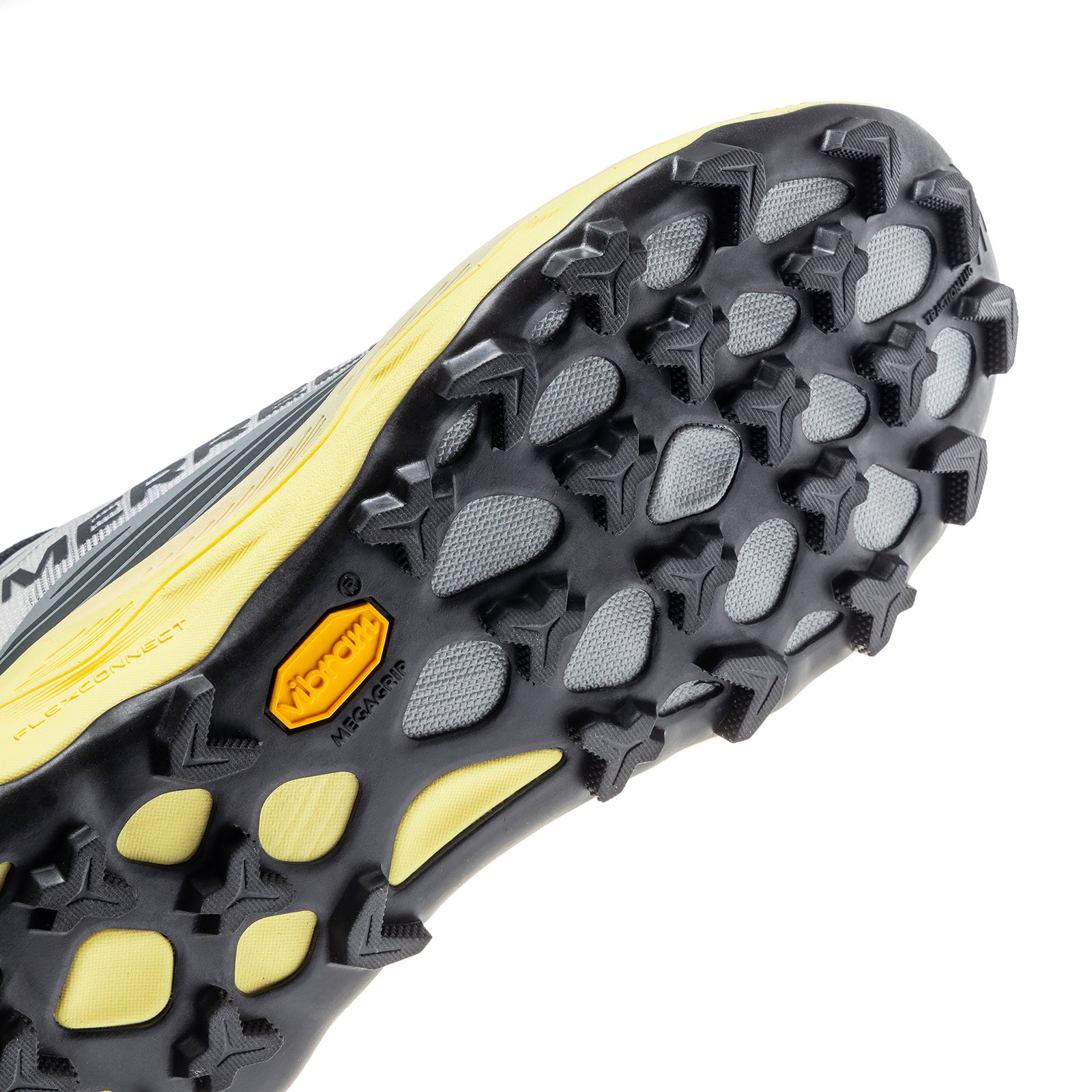 #カラー_PIGEON ピジョン