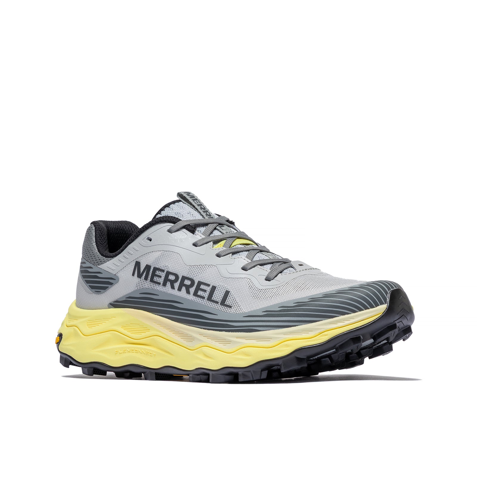 #カラー_PIGEON ピジョン