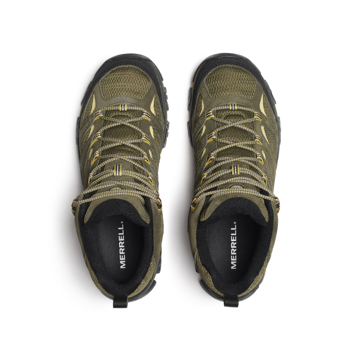 #カラー_LODEN ローデン