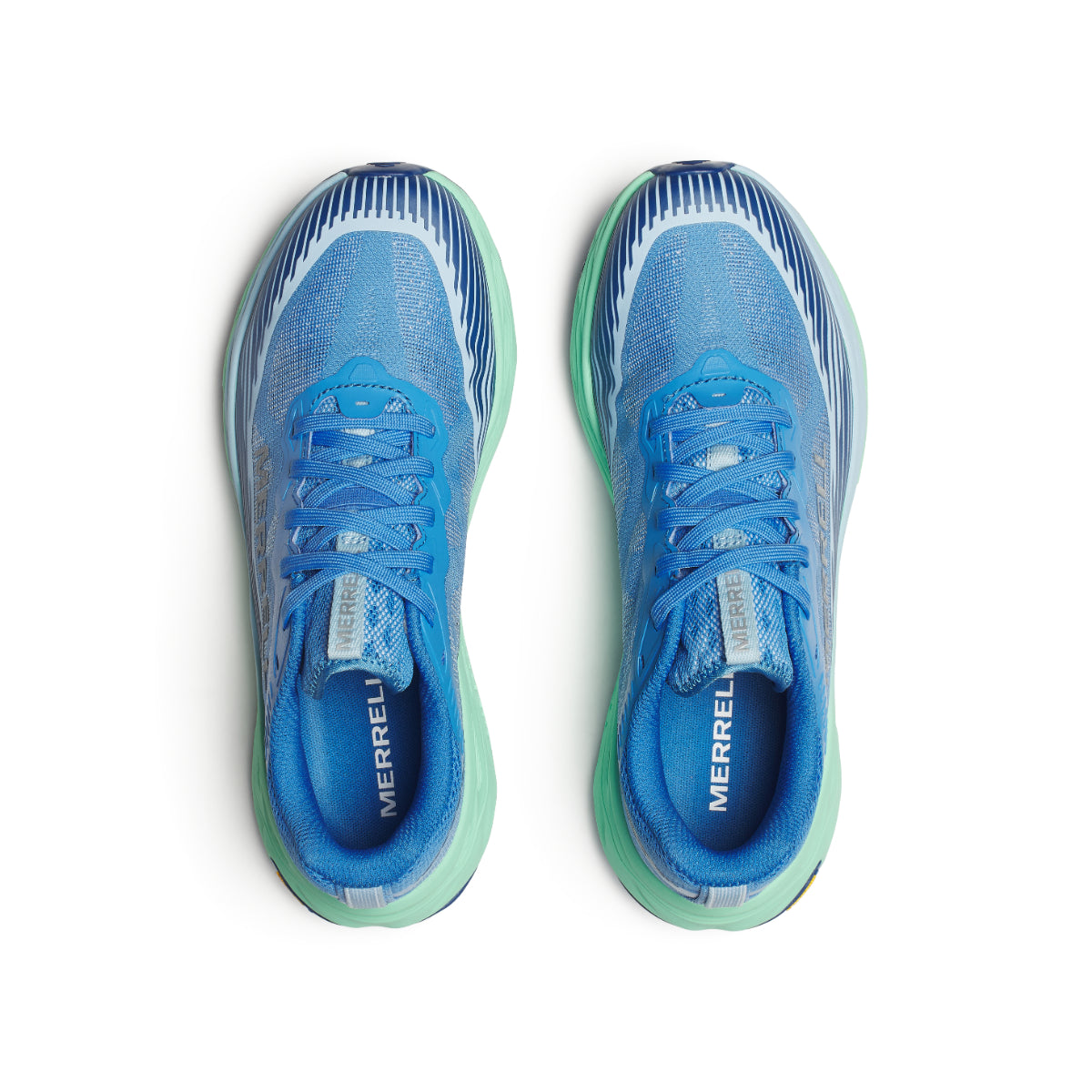 #カラー_ADMIRAL アドミラル