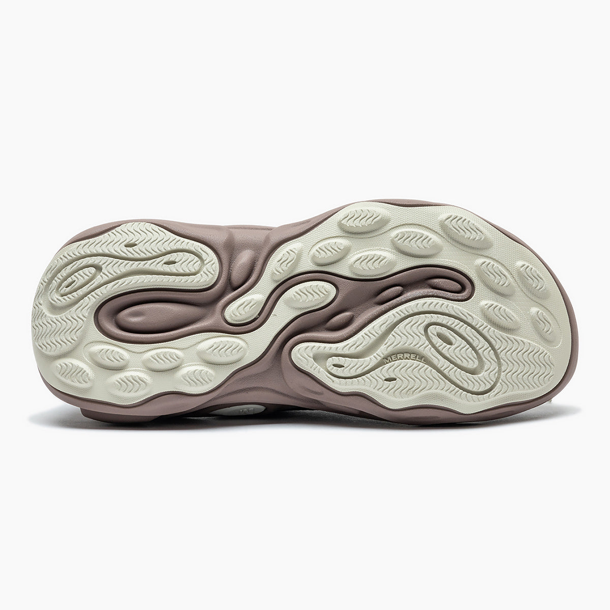 #カラー_ANTLER アントラ―