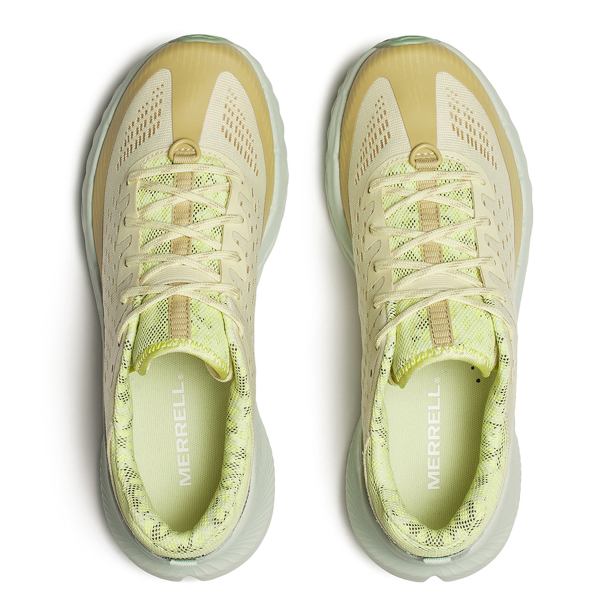 #カラー_BEACH/CITRINE ビーチ/シトリン