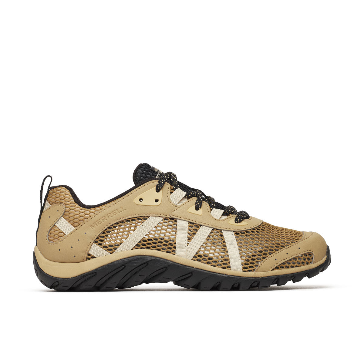 #カラー_BEAVER ビーバー