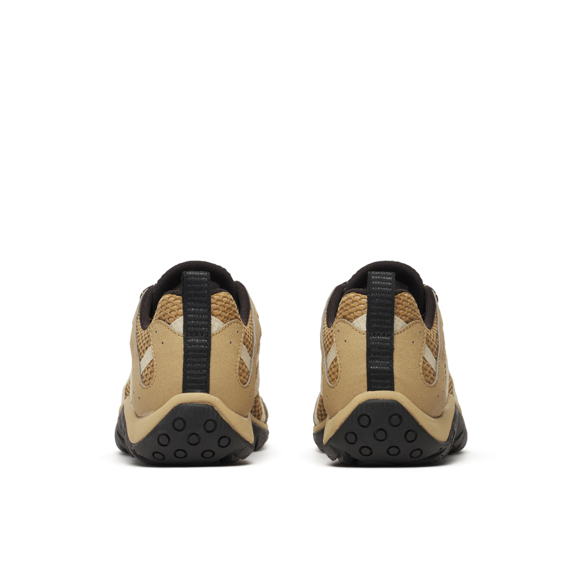 #カラー_BEAVER ビーバー