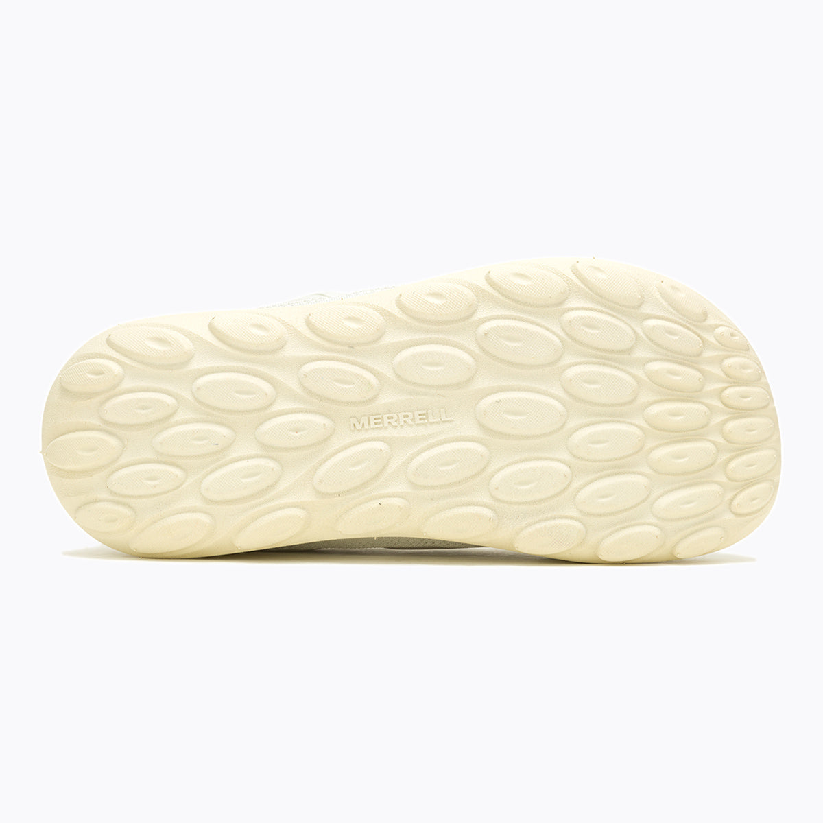 #カラー_BIRCH バーチ