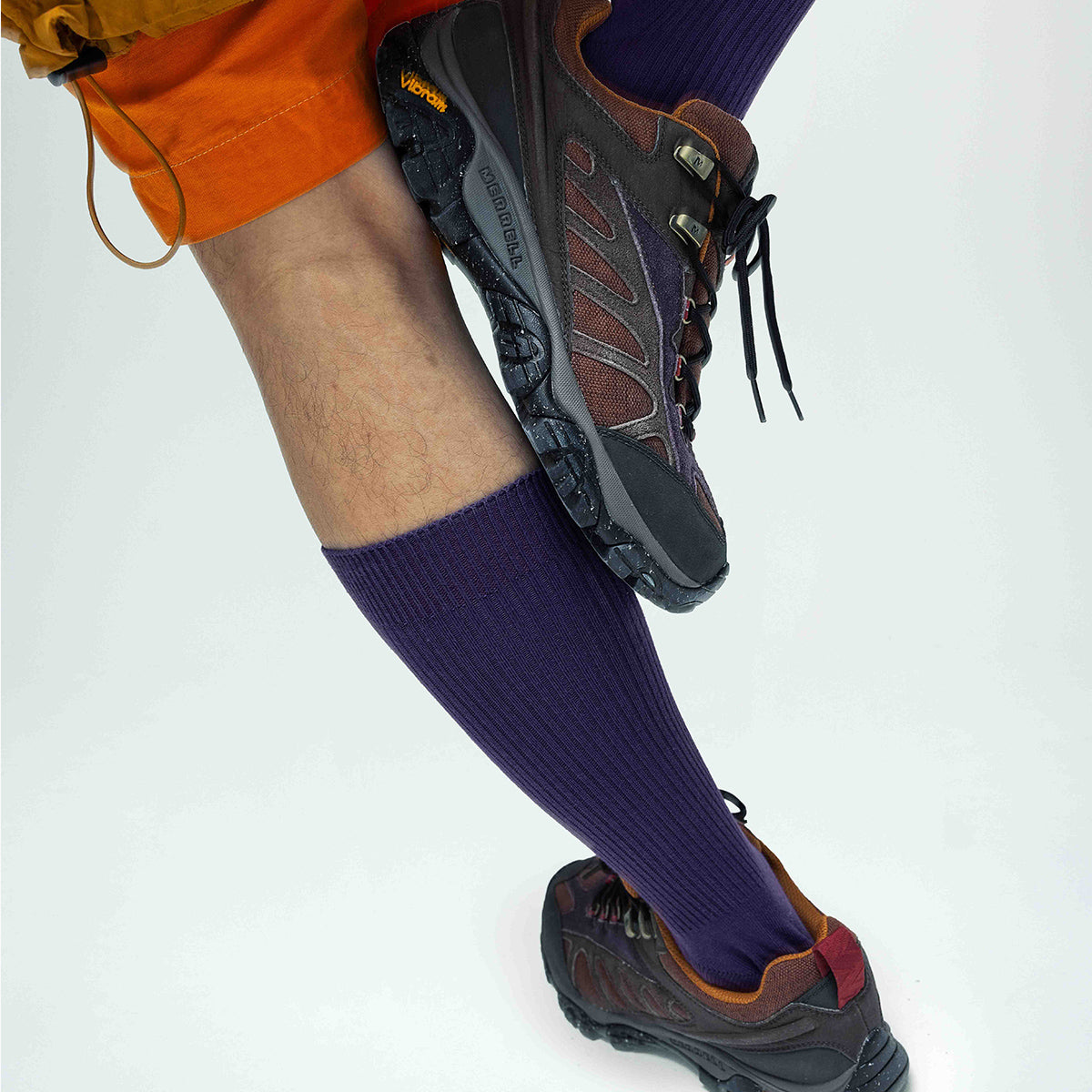 #カラー_BRACKEN MULTI ブラッケン マルチ