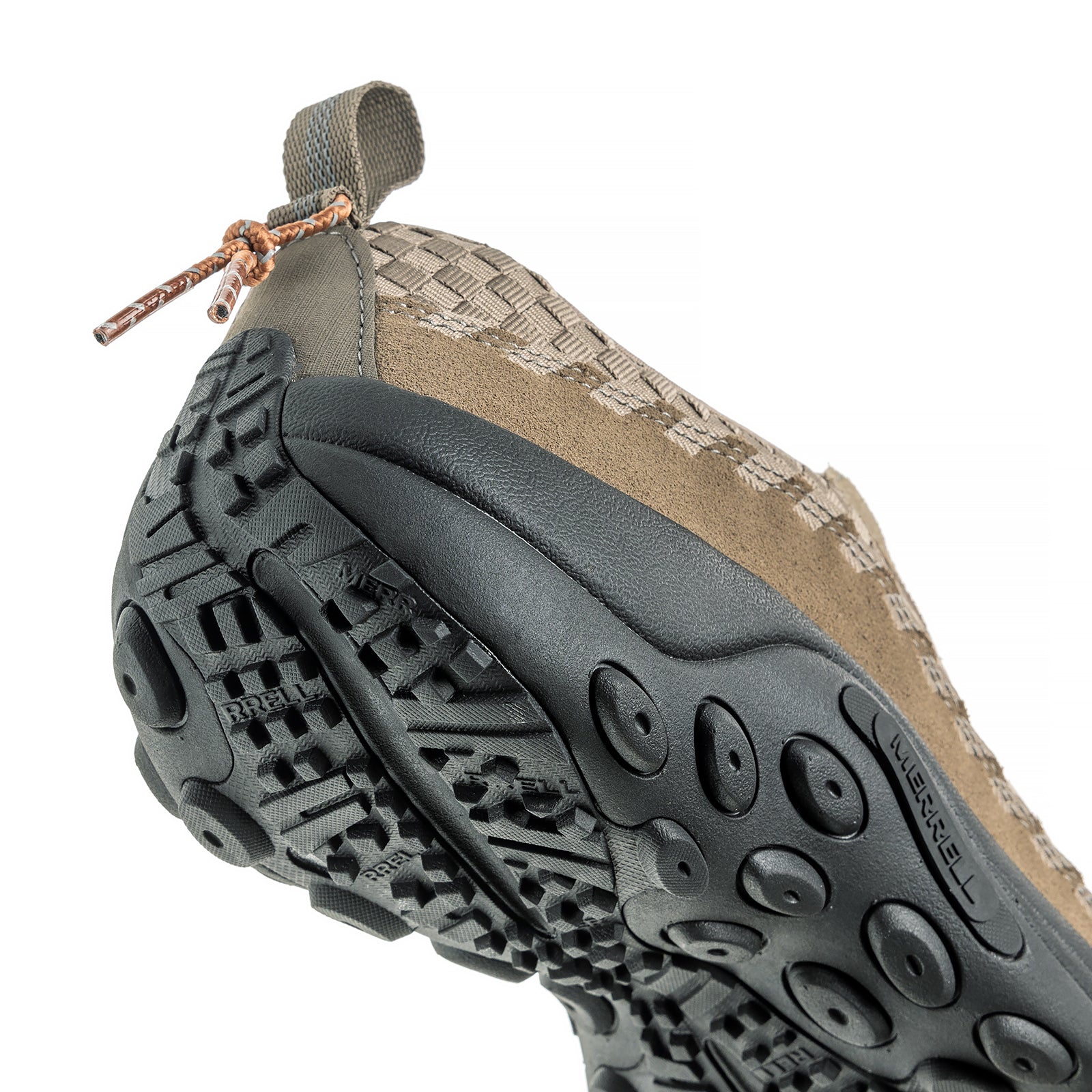 #カラー_BRINDLE ブリンドル