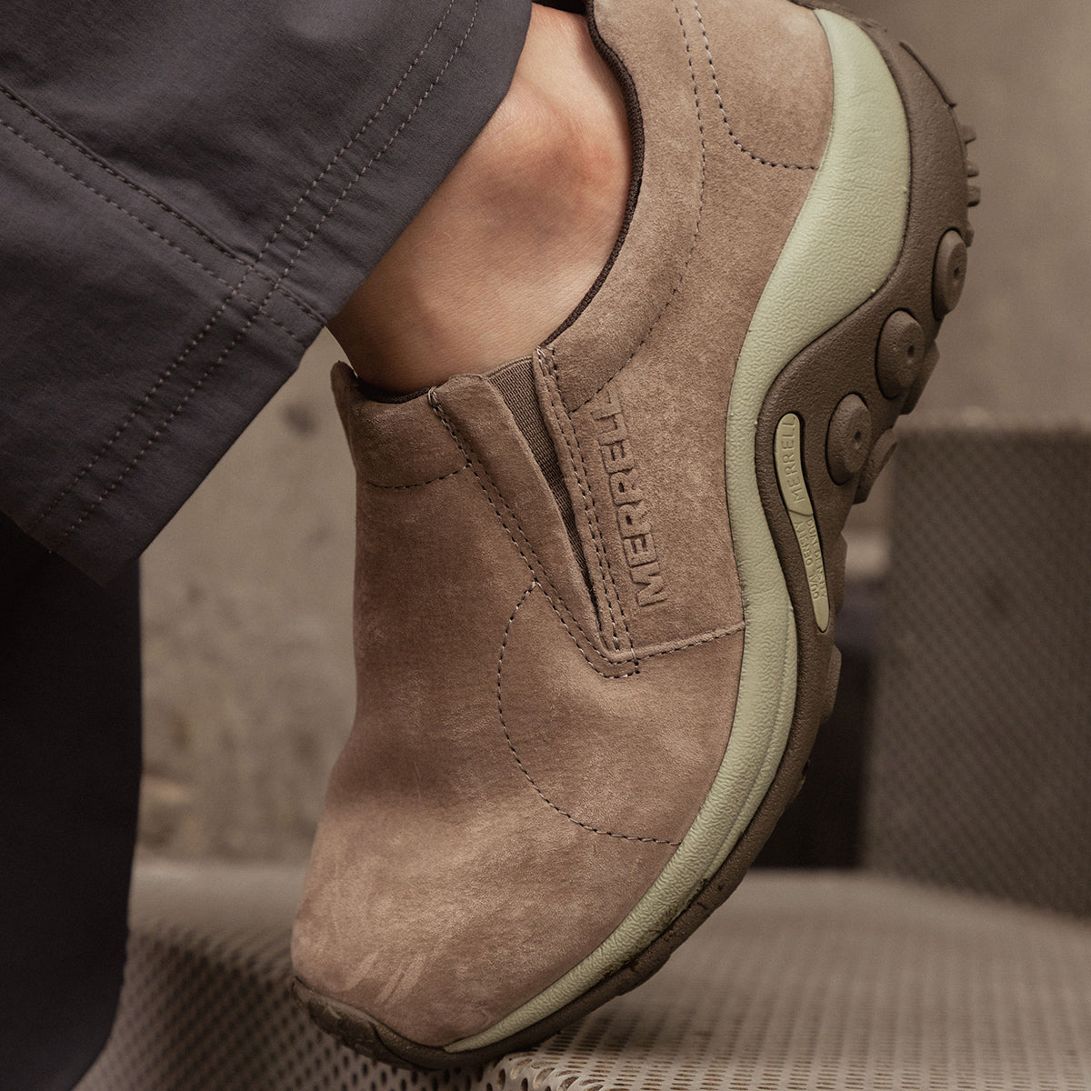 #カラー_BRINDLE/TEA ブリンドル/ティー