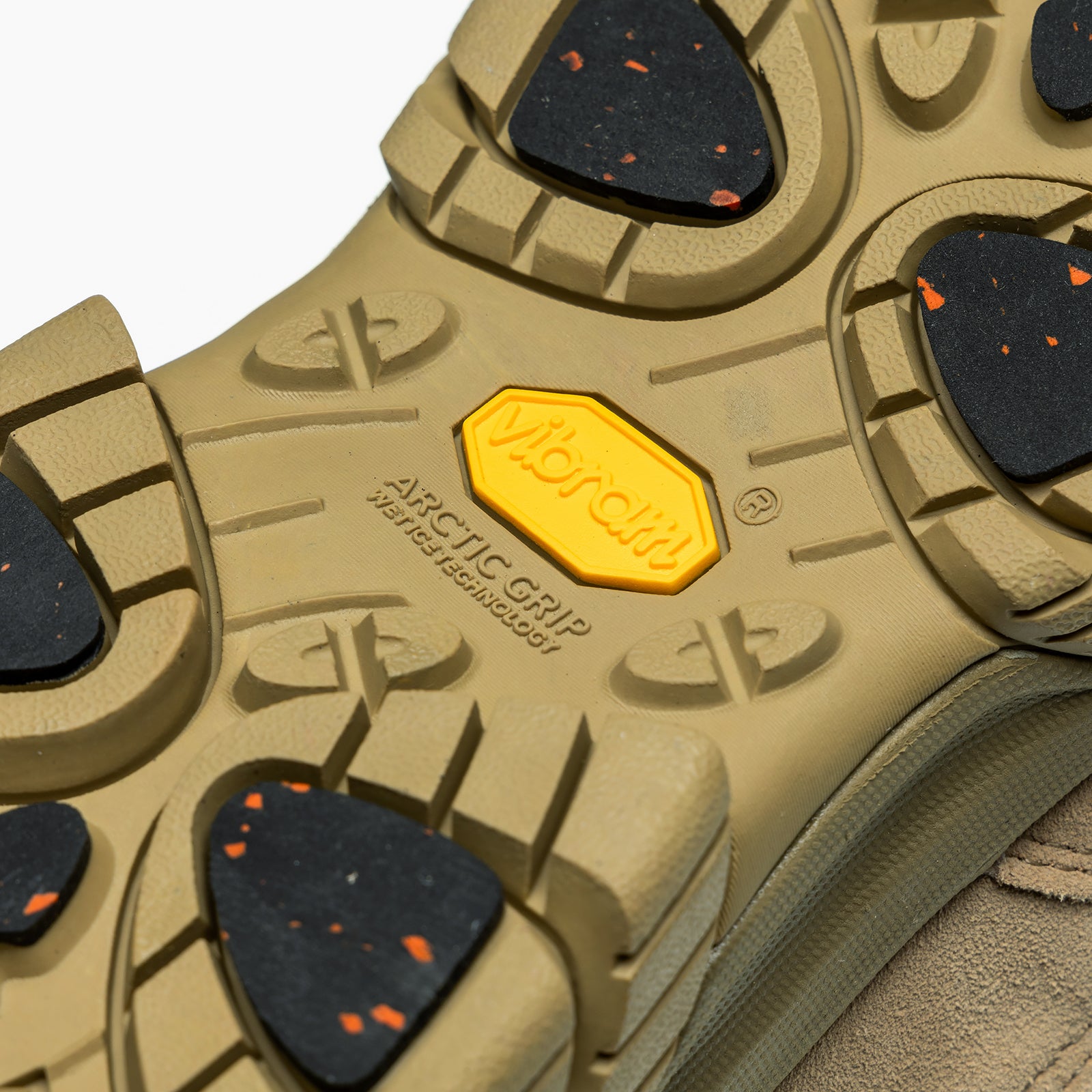 #カラー_CAMEL キャメル