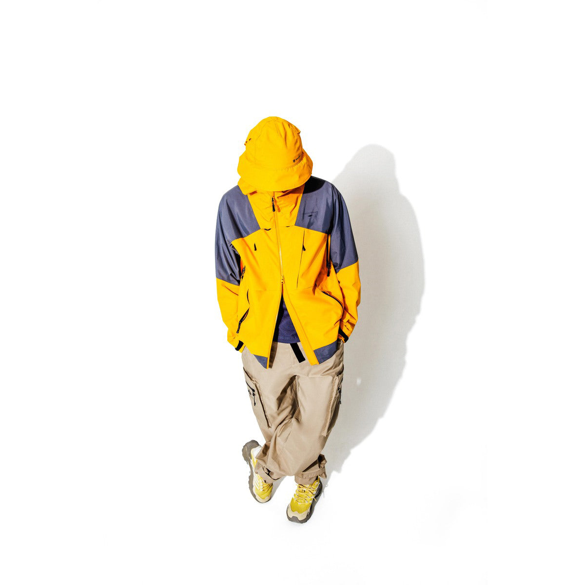 #カラー_DIJON ディジョン