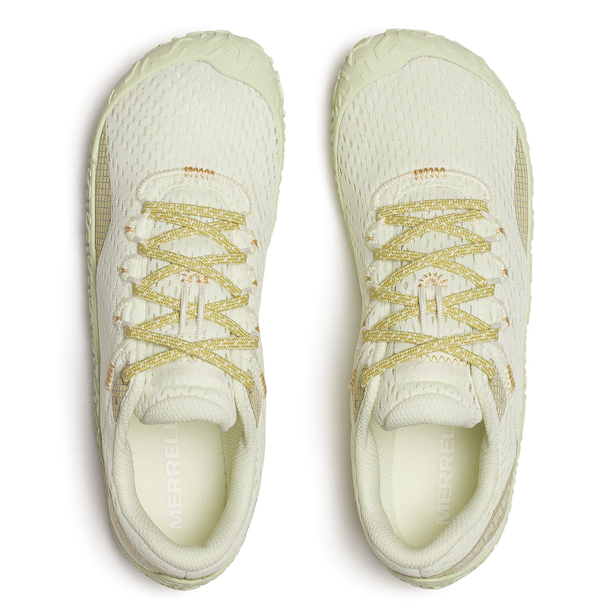 #カラー_HONEYDEW ハニーデュー