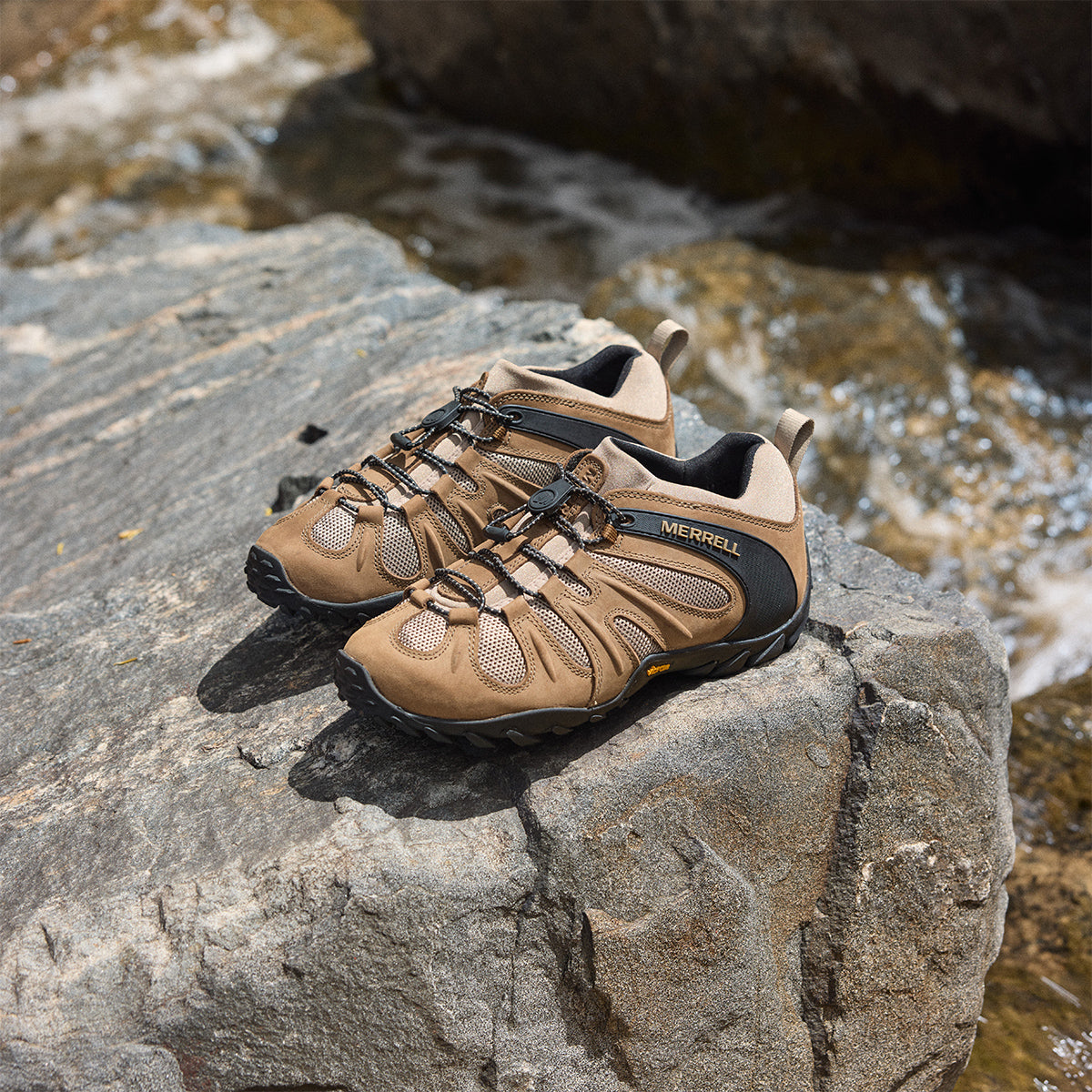 #カラー_KANGAROO カンガルー