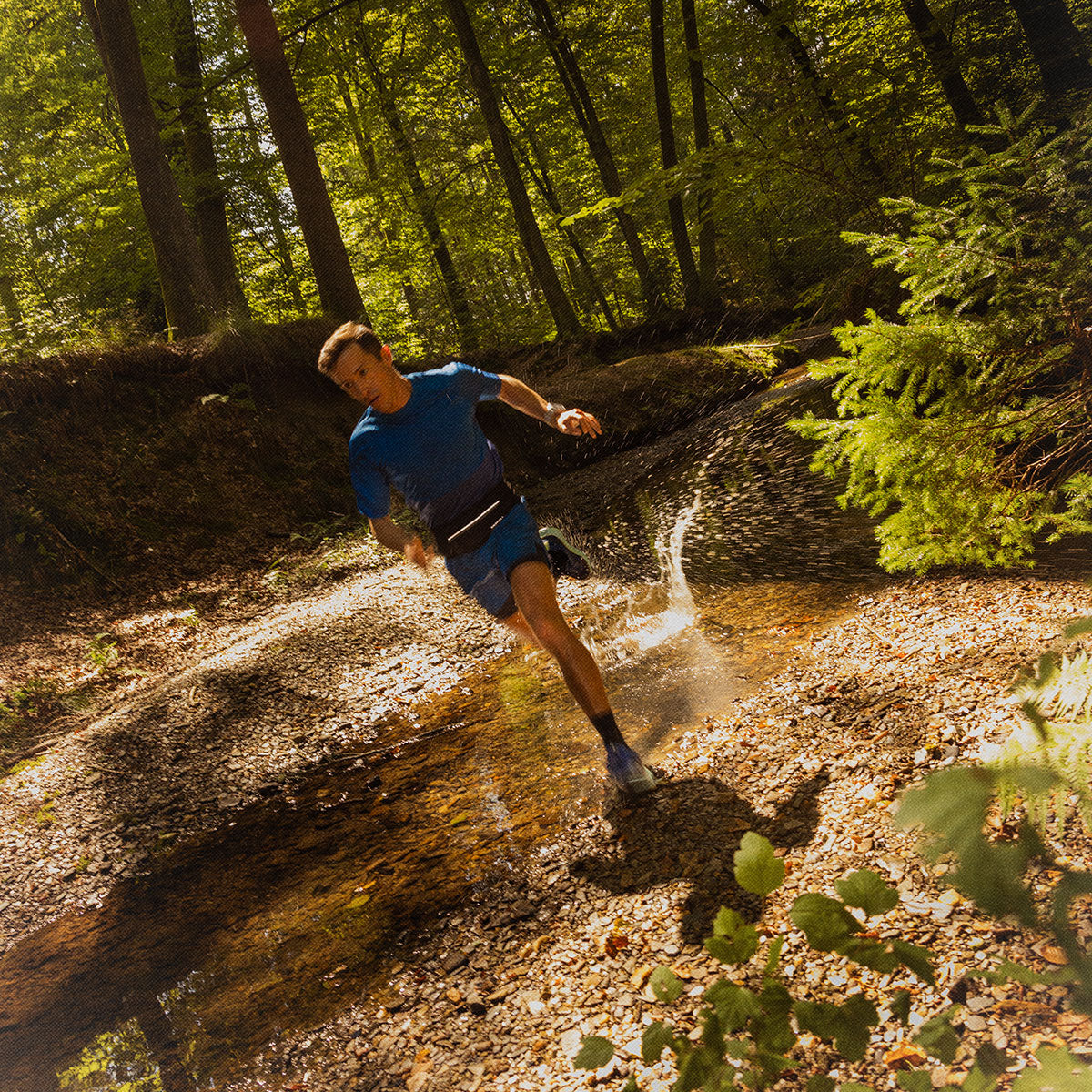 #カラー_MARIANA マリアナ