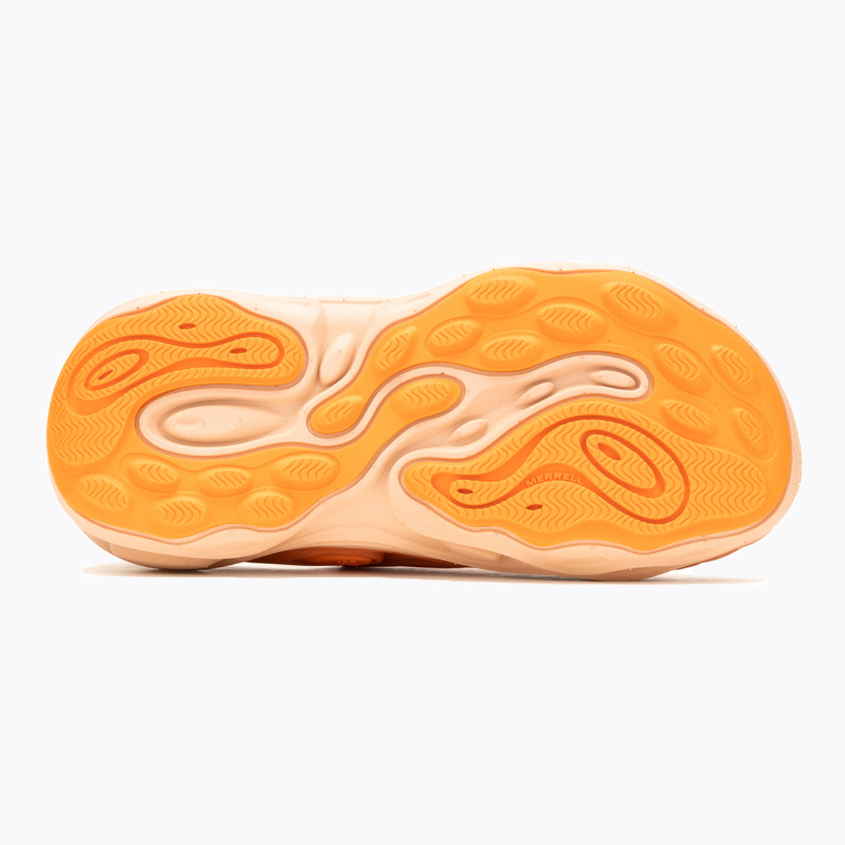 #カラー_MELON メロン