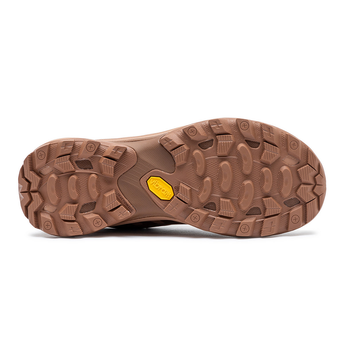 #カラー_NUTSHELL ナットシェル