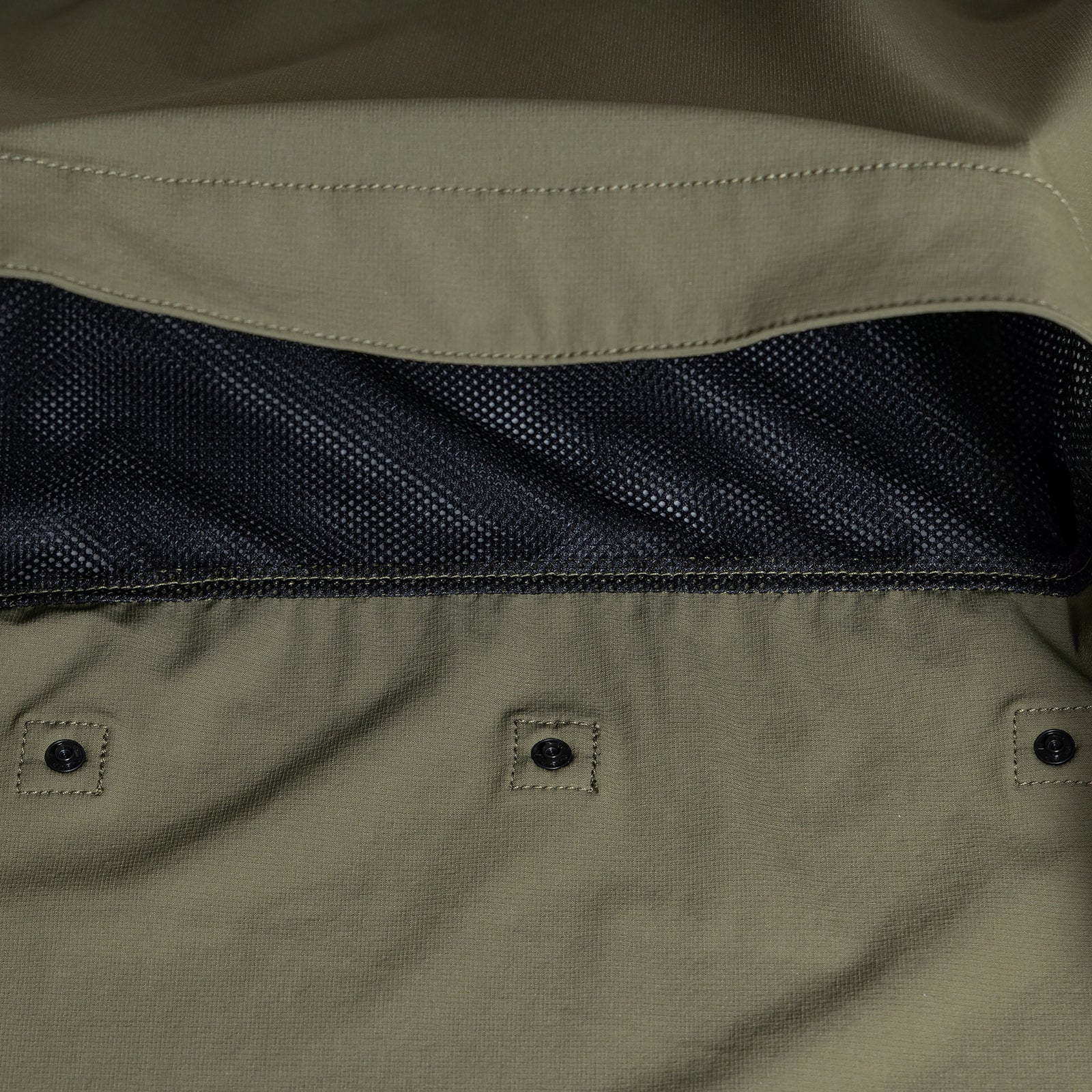 #カラー_ OLIVE オリーブ