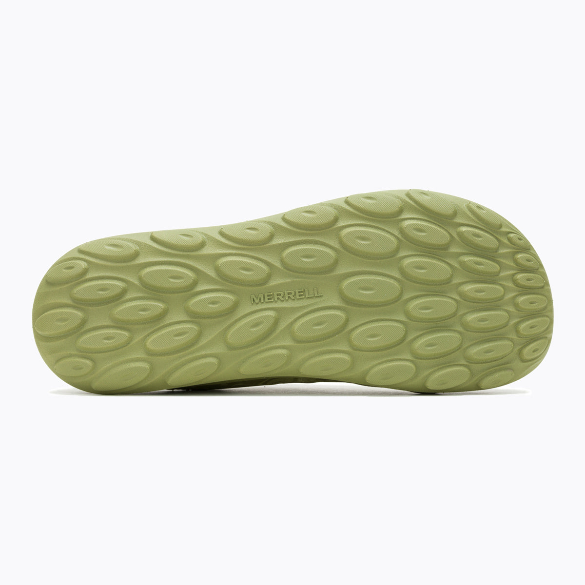 #カラー_OLIVE オリーブ