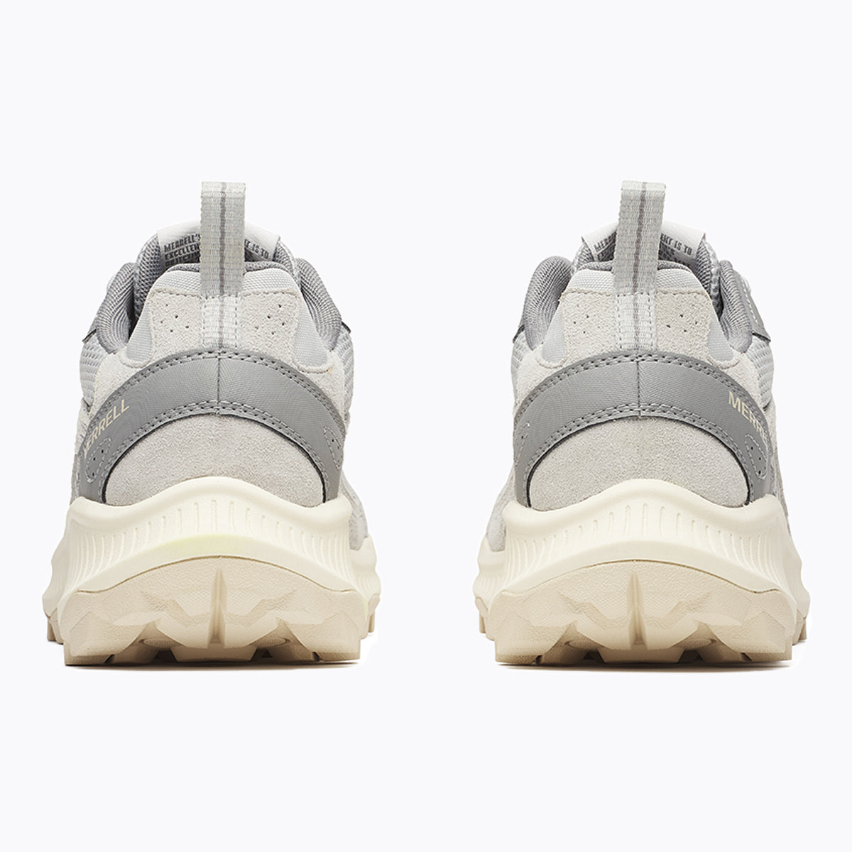 #カラー_PIGEON ピジョン