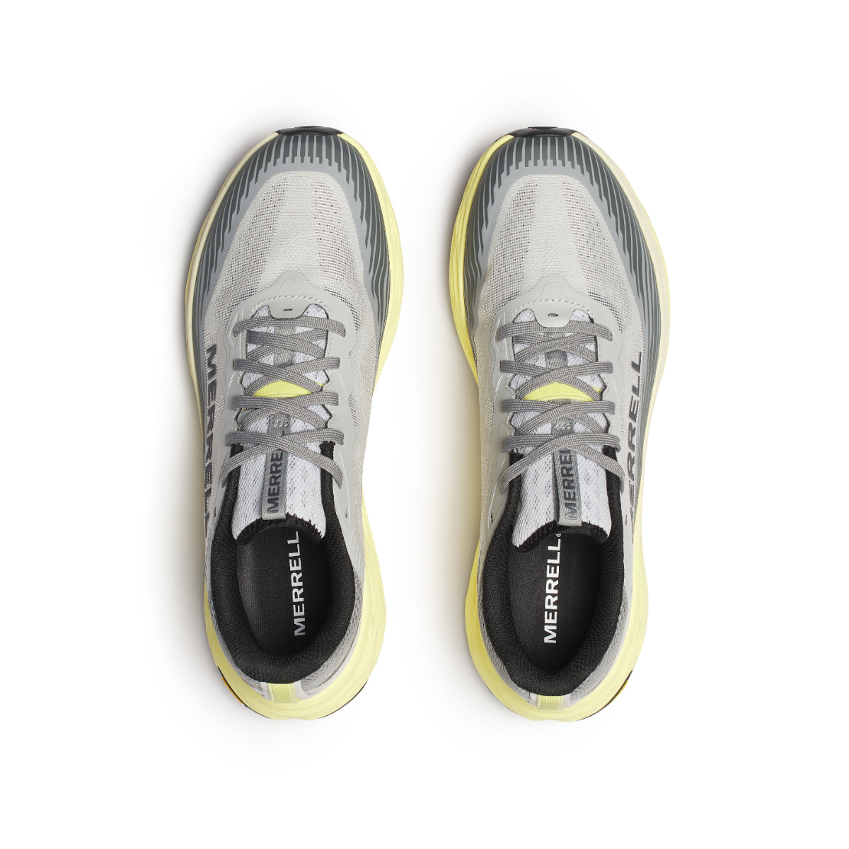 #カラー_PIGEON ピジョン