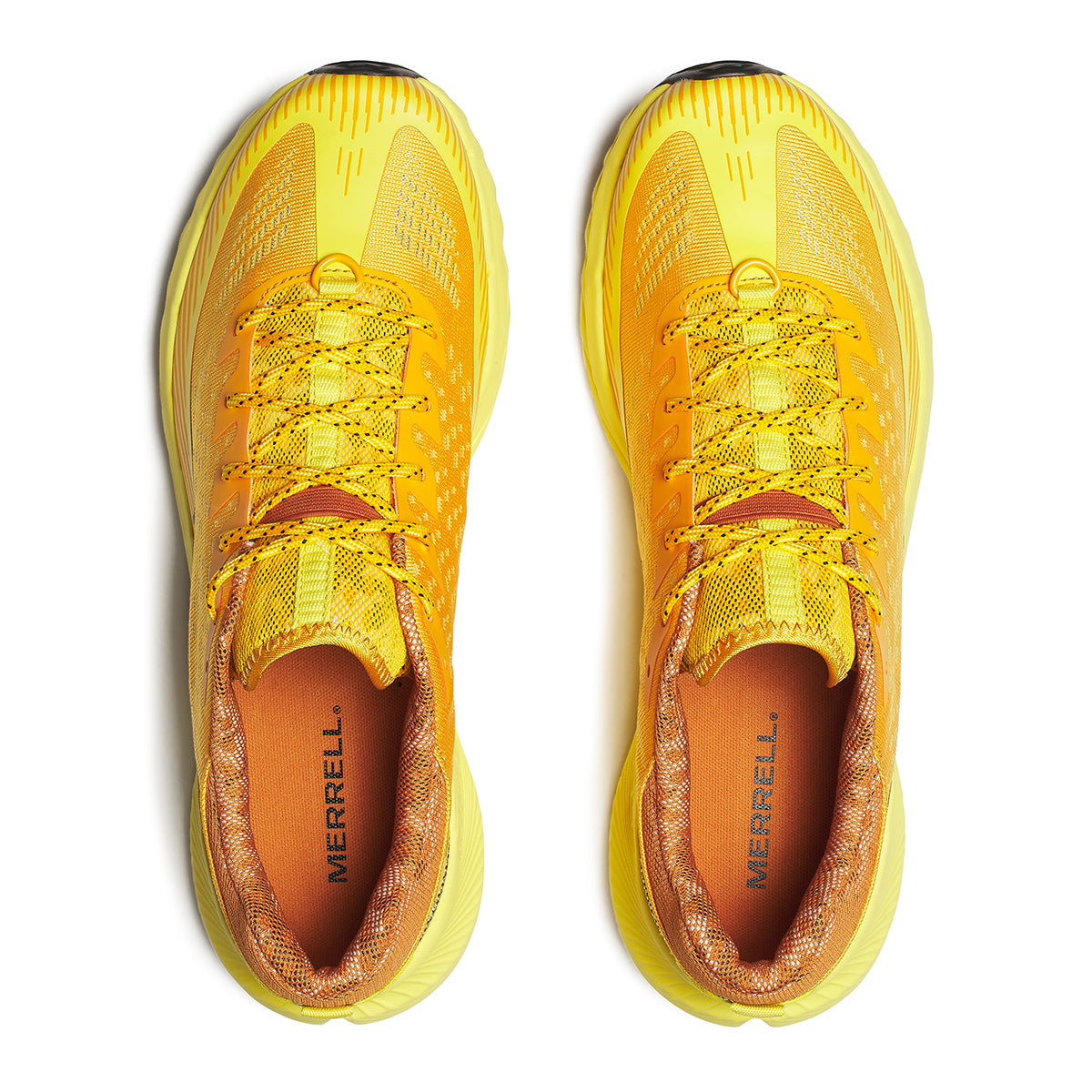 #カラー_RUSH ラッシュ