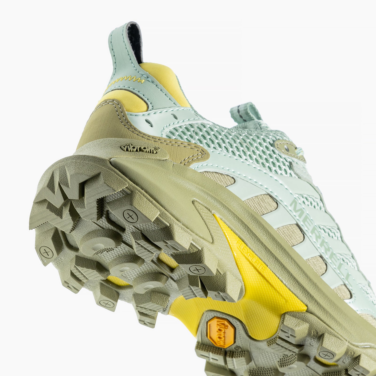 #カラー_SPRIG/BASIL スプリング/バジル