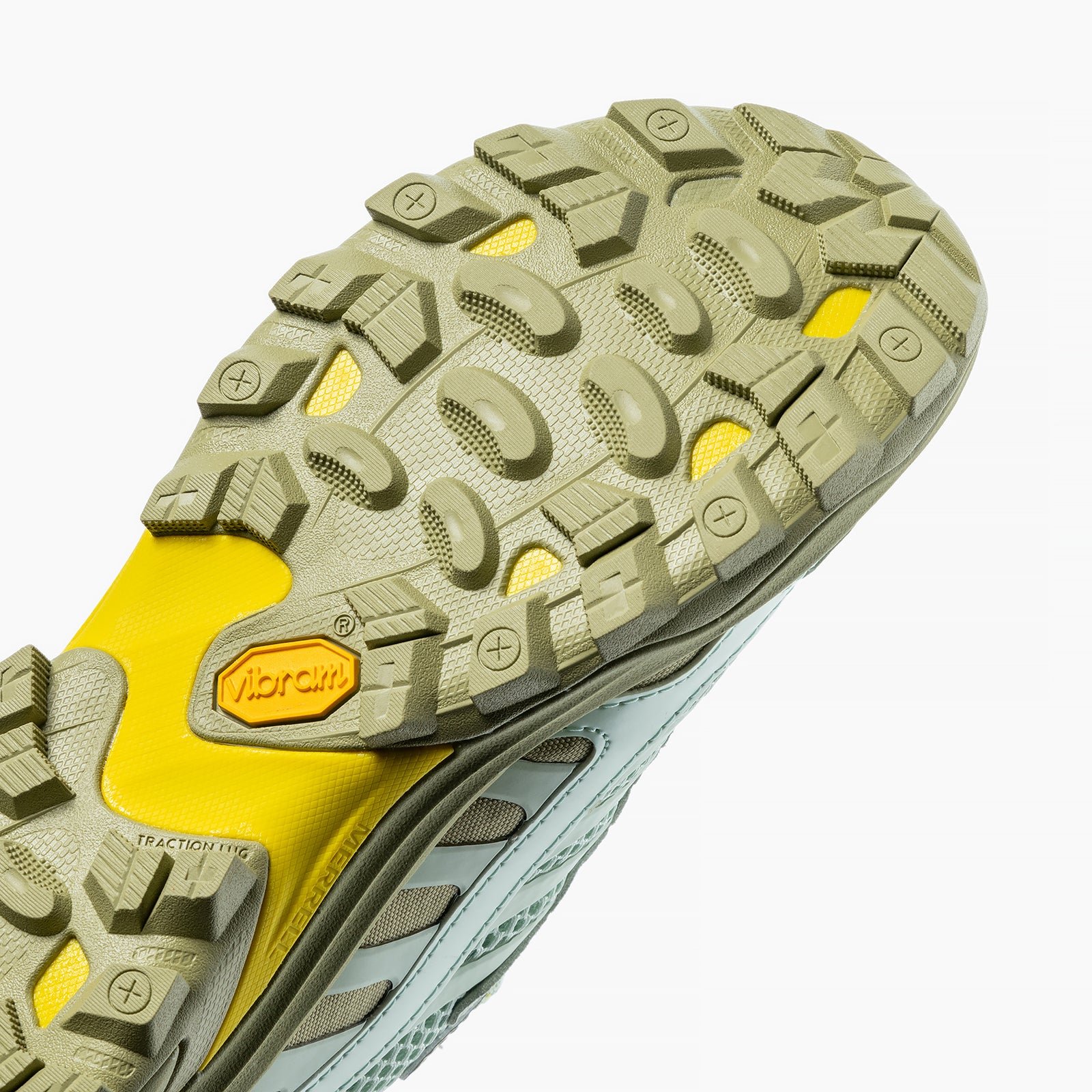 #カラー_SPRIG/BASIL スプリング/バジル