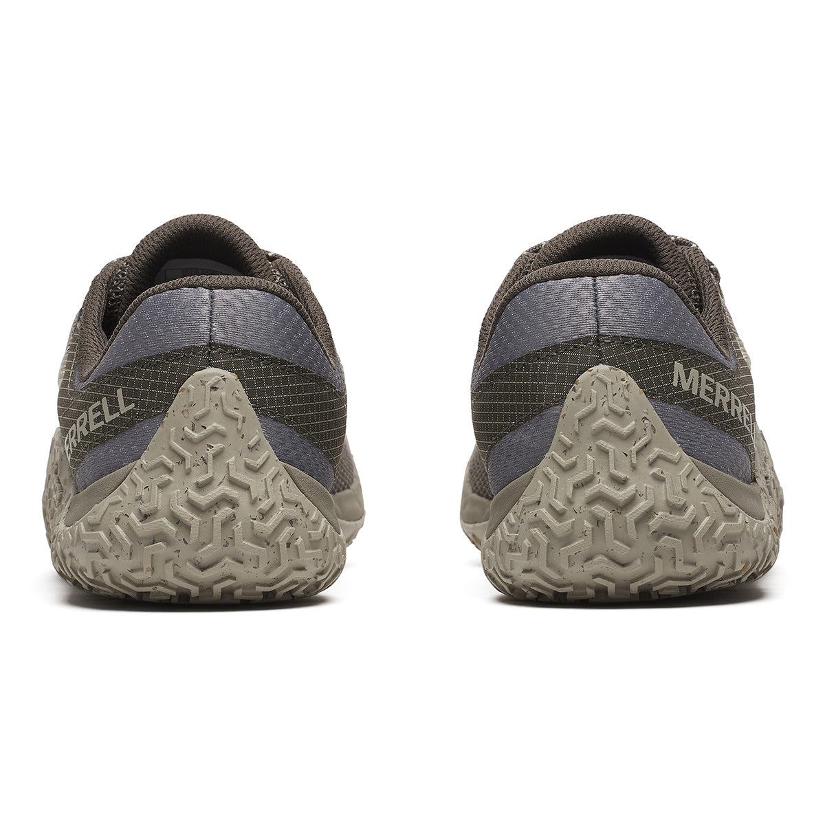 #カラー_TALUS テイラス