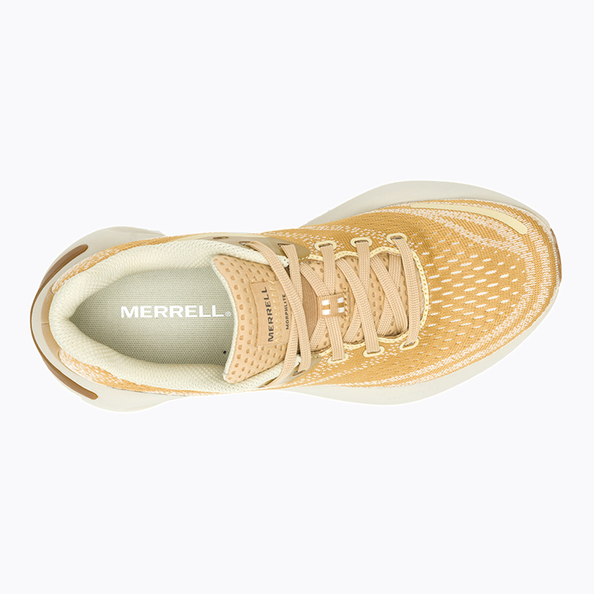 #カラー_TAN タン