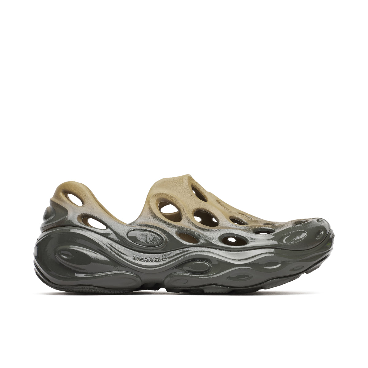 #カラー_TEAK/BELUGA チーク/ベルーガ