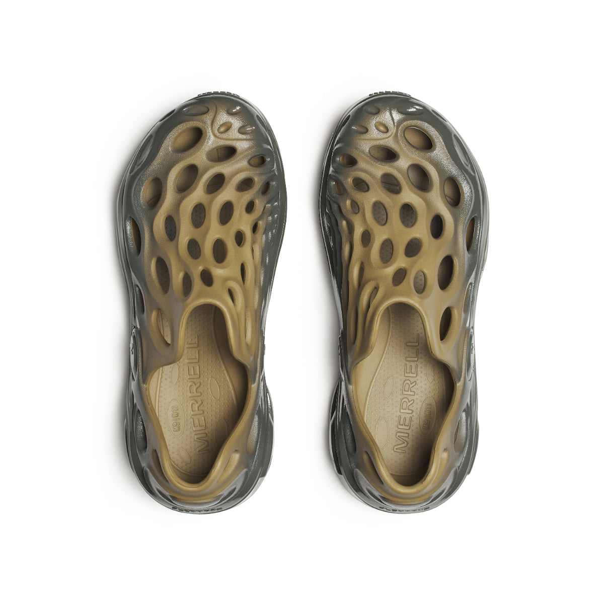 #カラー_TEAK/BELUGA チーク/ベルーガ