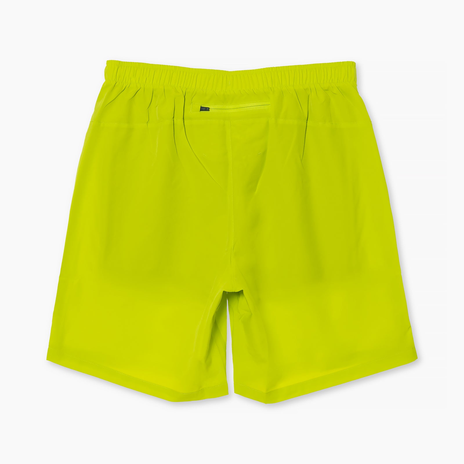 #カラー_EVENING PRIMROSE イブニング プリムローズ