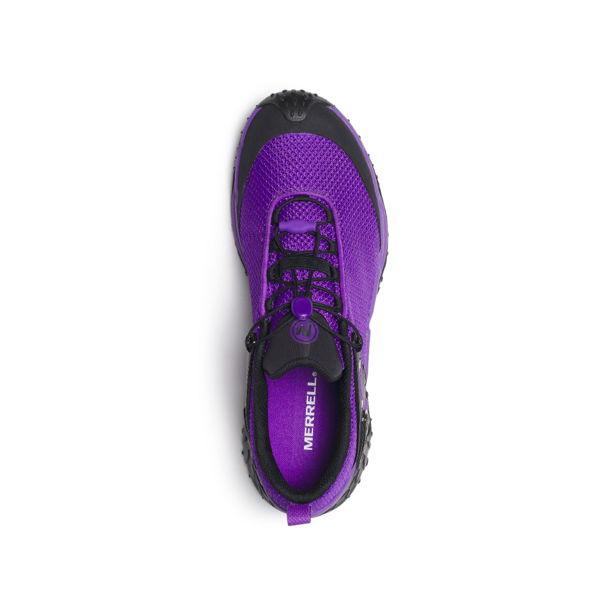 #カラー_TWILIGHT THISTLE トワイライト シッスル