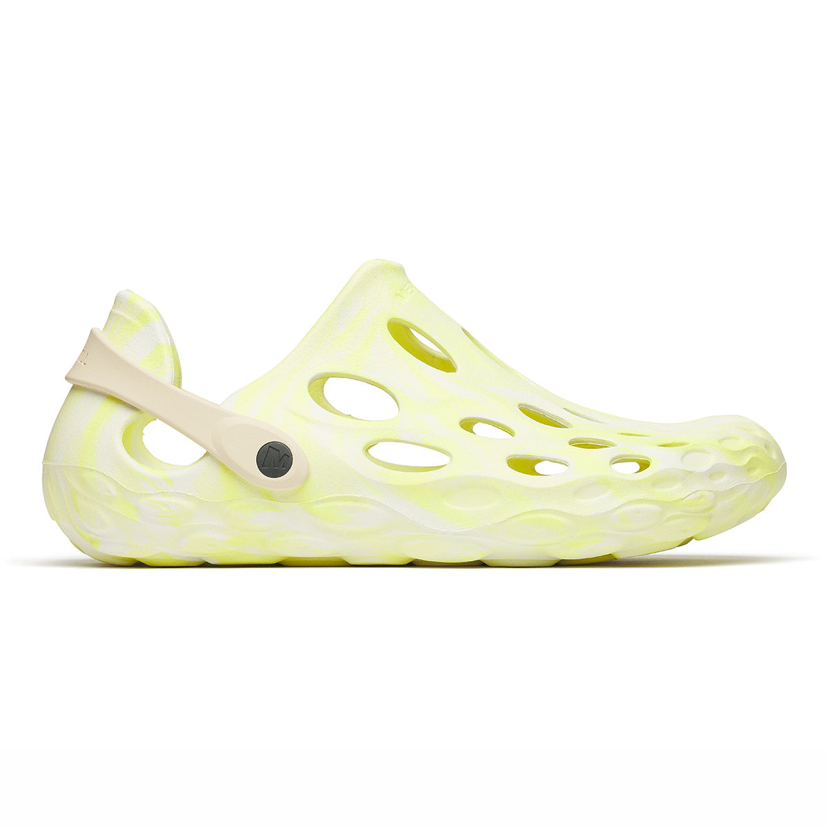 #カラー_ VIVID ビビット