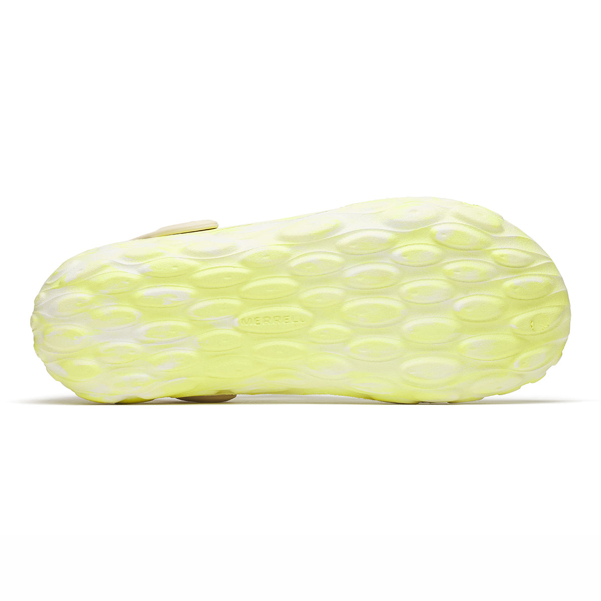 #カラー_ VIVID ビビット