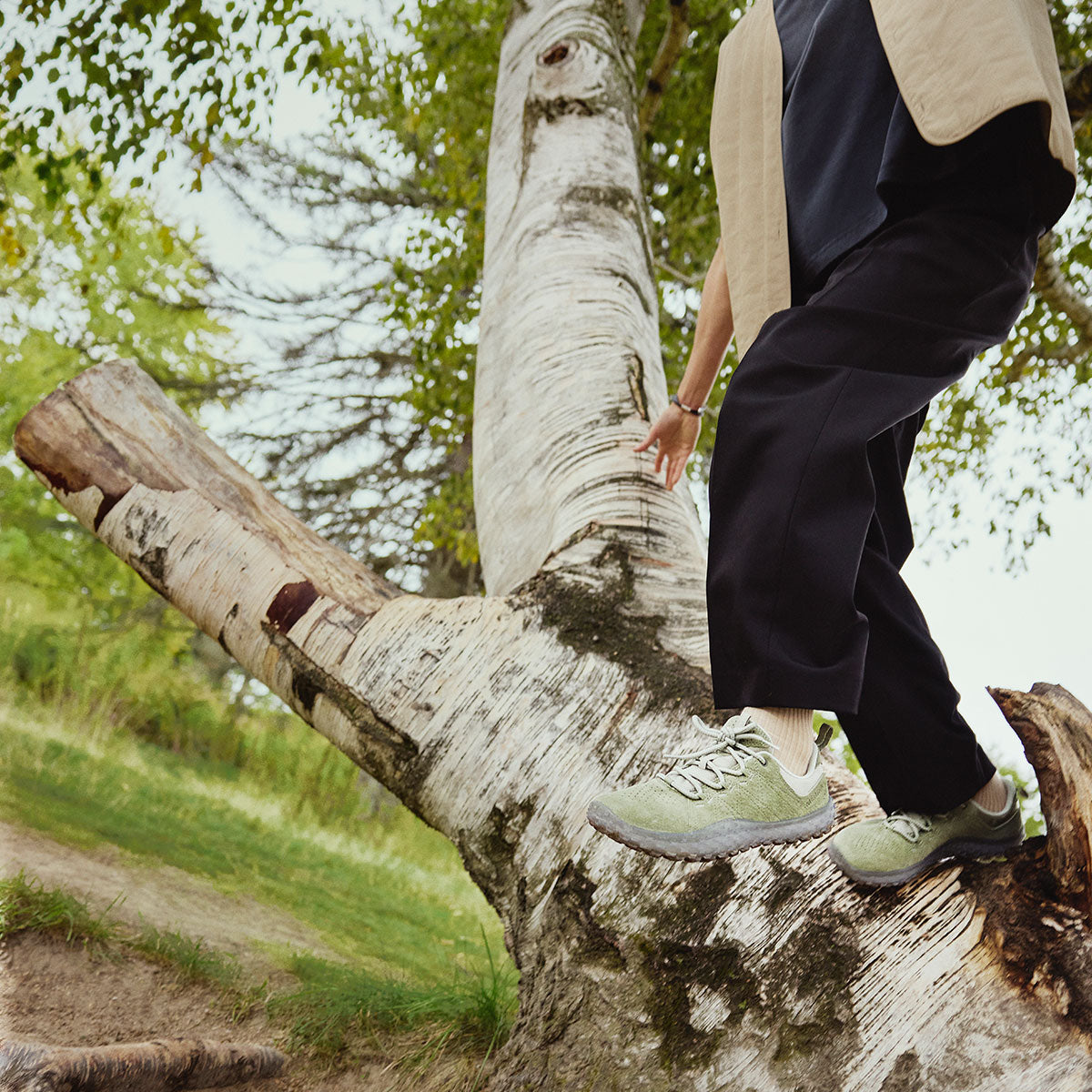 #カラー_WHITE SAGE ホワイト セージ