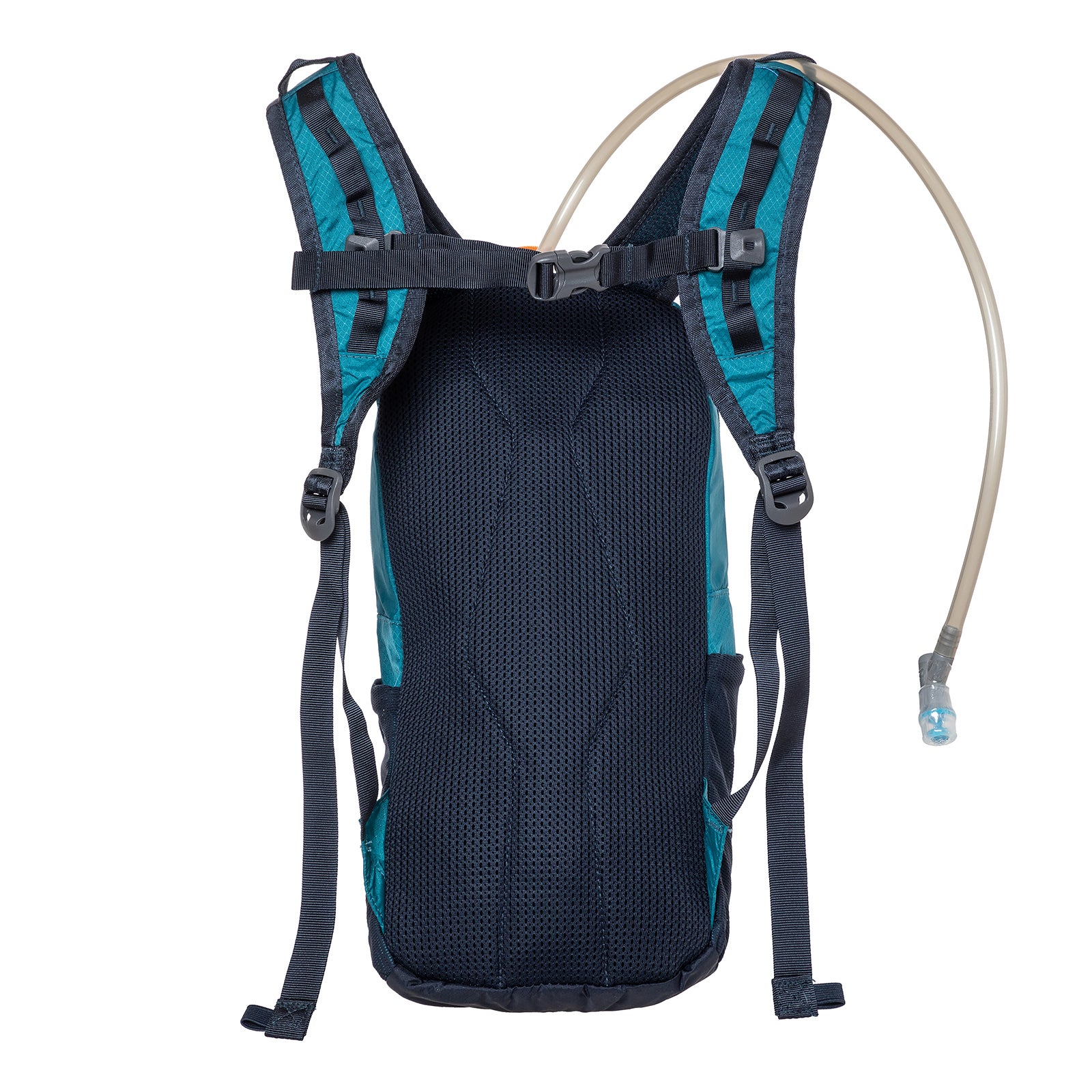 #カラー_DRAGONFLY ドラゴンフライ